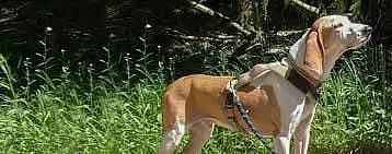 Sabueso Espa with family