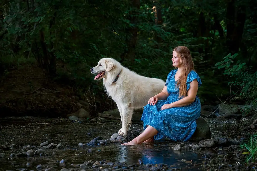 Slovenski Cuvac with family